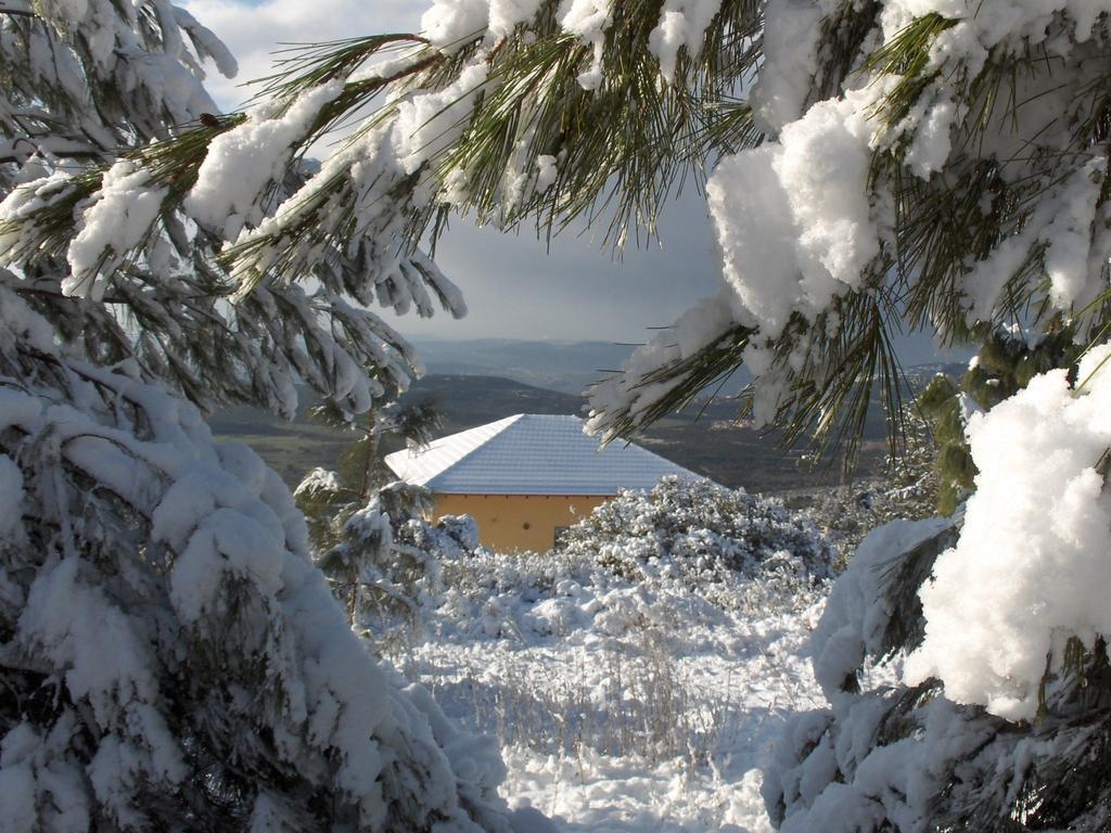 First Light Cabins Amirim Dış mekan fotoğraf